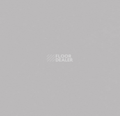 Линолеум Forbo Modul'up Compact Colour 861UP43C light grey uni фото 1 | FLOORDEALER